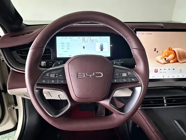 BYD Seal 07 DM-i — Фото автомобиля 11