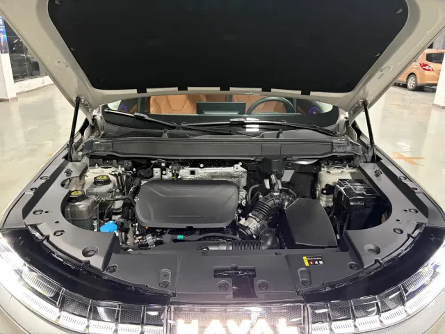 Haval Xiaolong MAX — Фото автомобиля 9