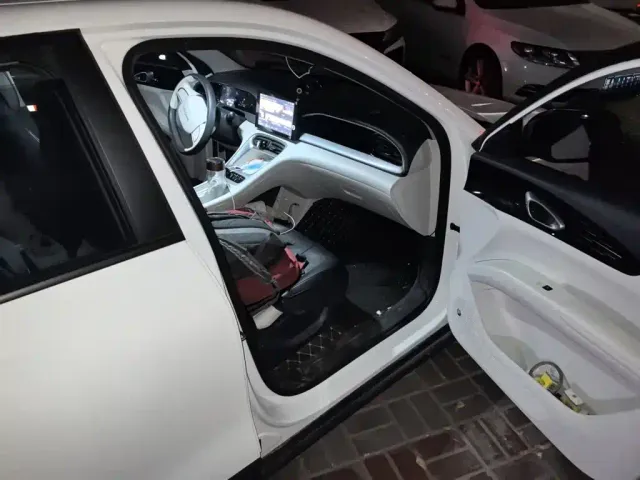 Geely Starry Wish — Фото автомобиля 19