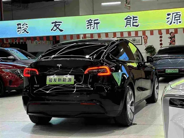 Tesla Model Y — Фото автомобиля 3