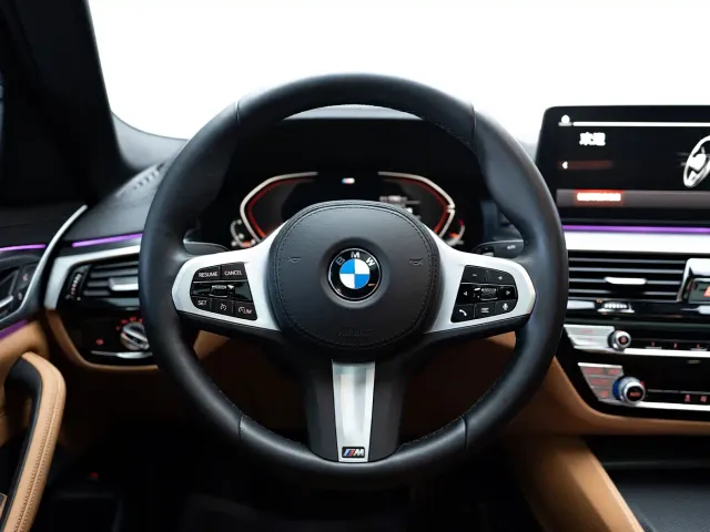 BMW 5 Series — Фото автомобиля 14