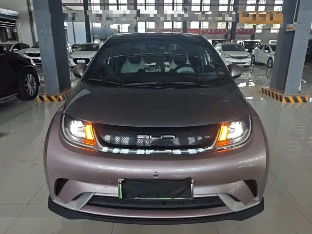 BYD Dolphin — Фото автомобиля 2
