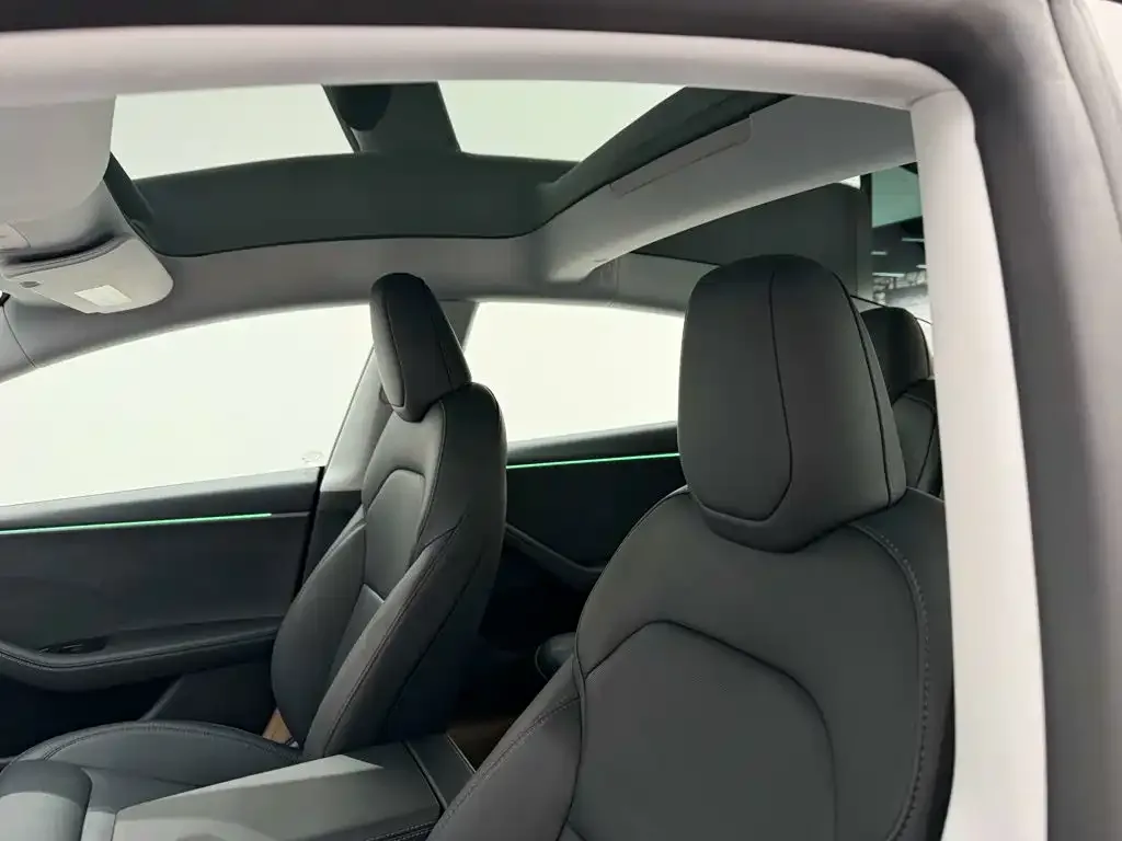 Tesla Model 3 2025 Long Range All-Wheel Drive — Фото автомобиля 22