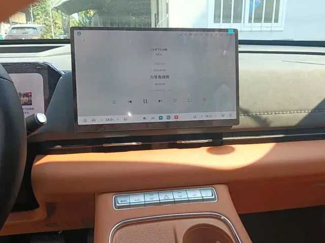 Haval Xiaolong MAX — Фото автомобиля 12