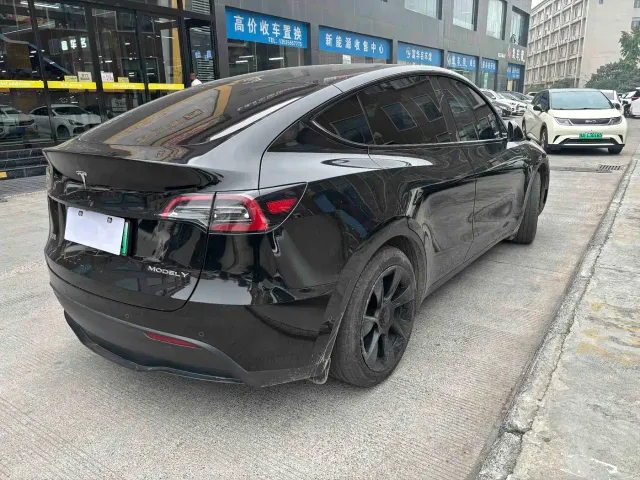 Tesla Model Y — Фото автомобиля 6