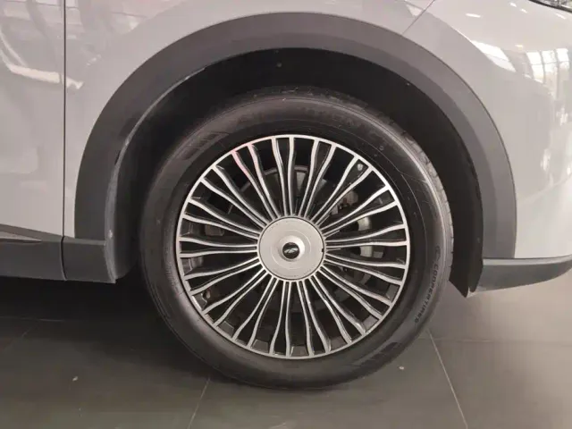 Chery Fulwin T9 — Фото автомобиля 6