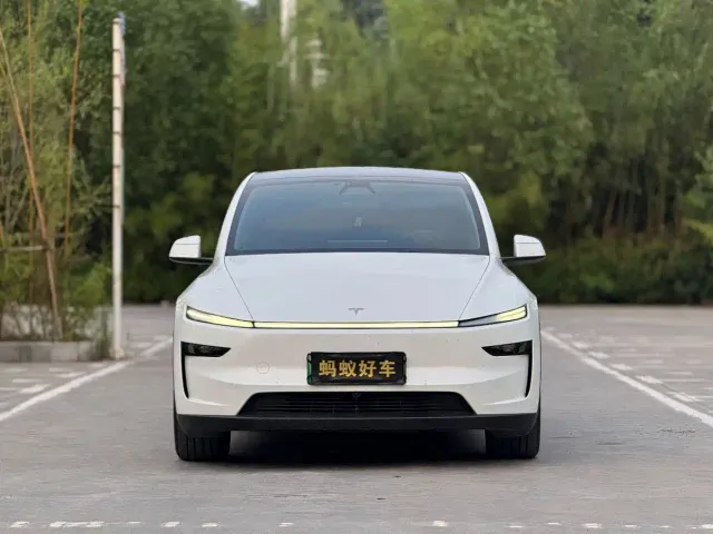 Tesla Model Y — Фото автомобиля 2