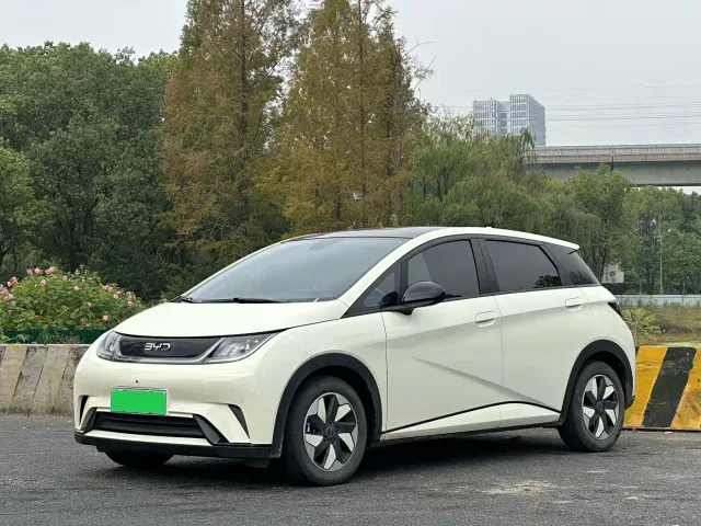 Фотография автомобиля — BYD Dolphin