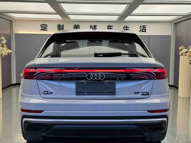 Audi Q8 — Фото автомобиля 13