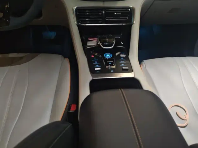 BYD Song PLUS — Фото автомобиля 13