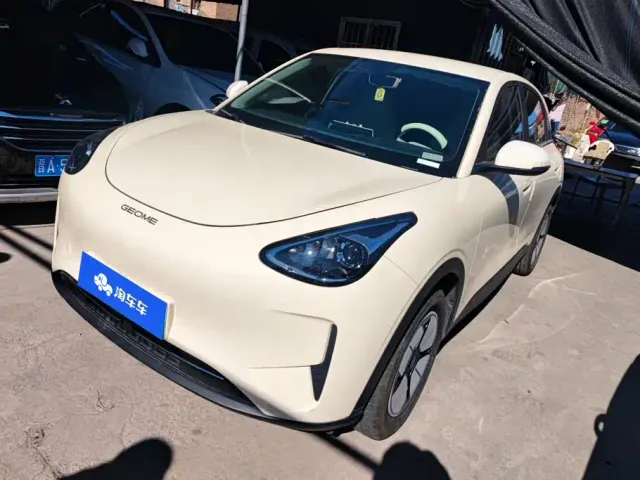 Фотография автомобиля — Geely Starry Wish