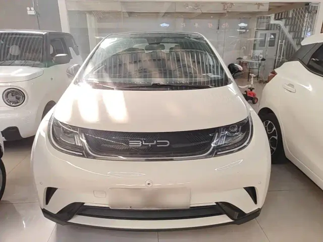 BYD Dolphin — Фото автомобиля 2