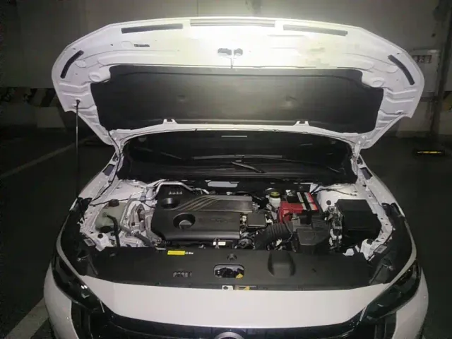 Nissan Sylphy — Фото автомобиля 3