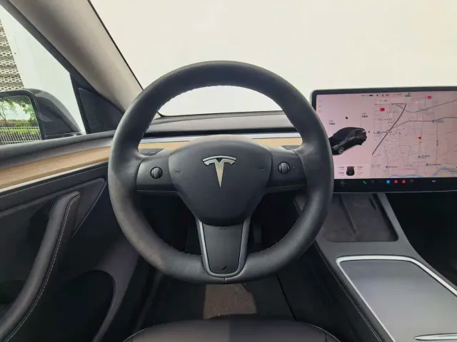 Tesla Model Y — Фото автомобиля 10