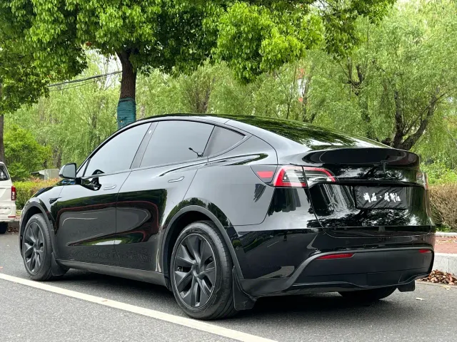 Tesla Model Y — Фото автомобиля 3