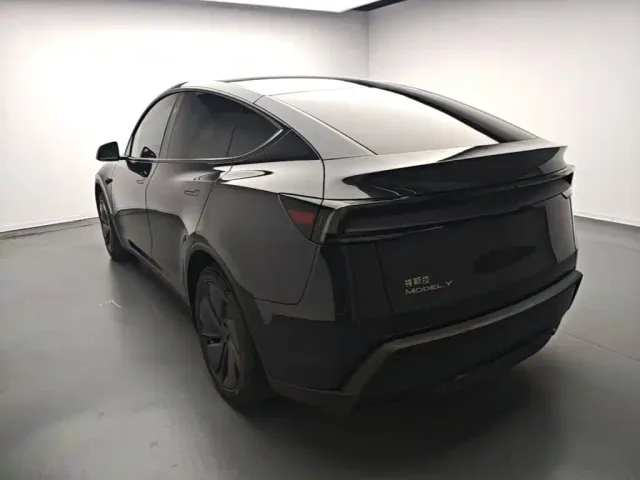 Tesla Model Y — Фото автомобиля 4