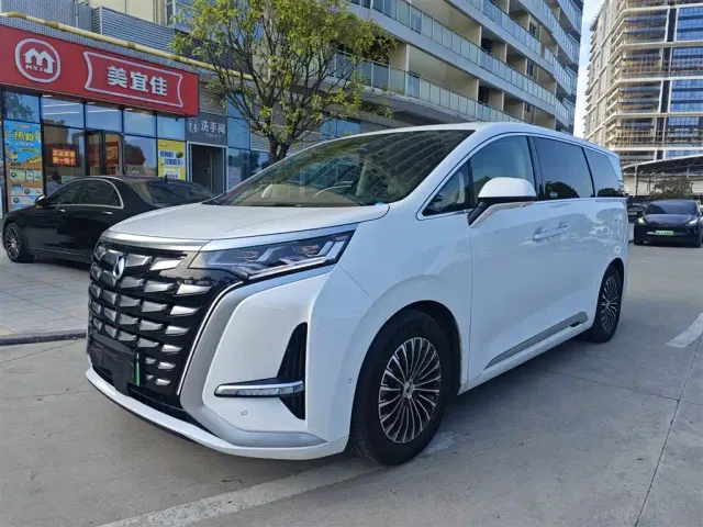 Фотография автомобиля — Denza D9