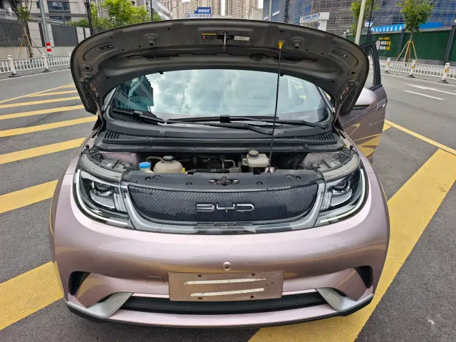BYD Dolphin — Фото автомобиля 21