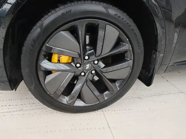 Li Auto L9 — Фото автомобиля 22