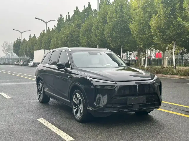 Wey Lanshan — Фото автомобиля 3