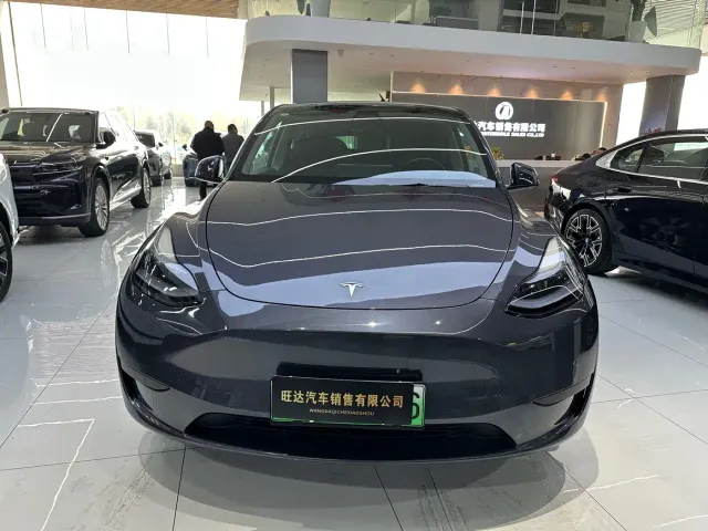 Tesla Model Y — Фото автомобиля 2