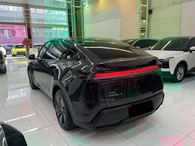 Tesla Model Y — Фото автомобиля 7