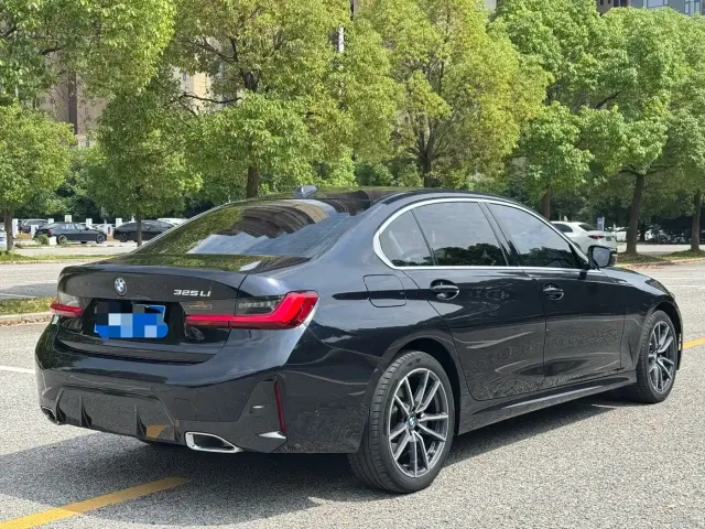 BMW BMW 3 Series 2023 325Li M Sport Package — Фото автомобиля 17