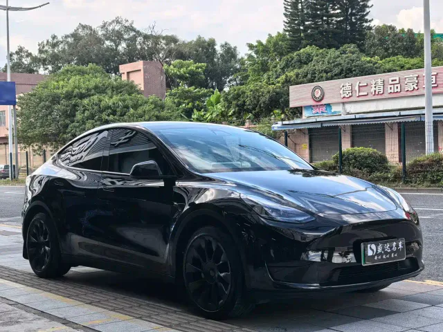 Tesla Model Y — Фото автомобиля 3