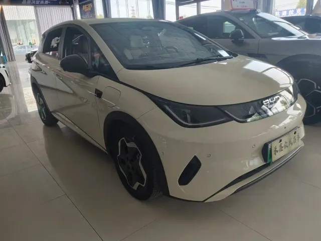 BYD Dolphin — Фото автомобиля 3