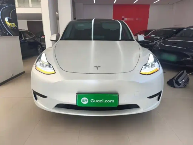 Tesla Model Y — Фото автомобиля 2