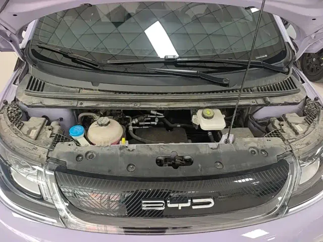 BYD Dolphin — Фото автомобиля 19