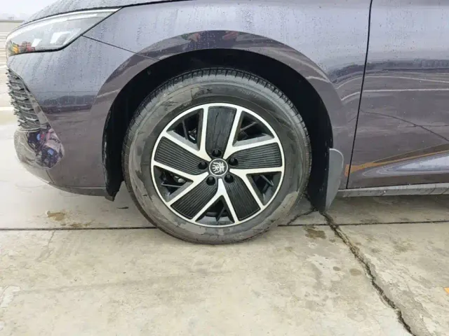 BYD Qin L — Фото автомобиля 22