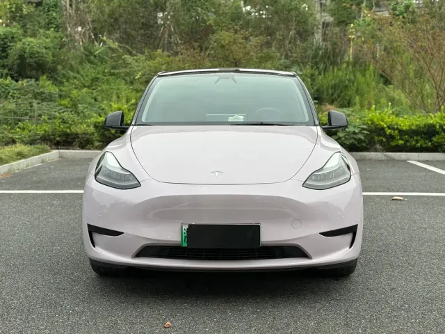 Tesla Model Y — Фото автомобиля 2