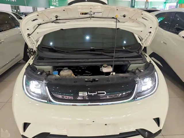BYD Dolphin — Фото автомобиля 19