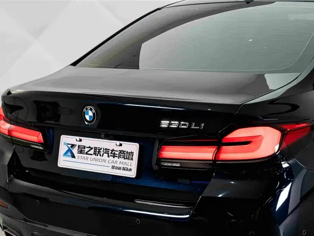 BMW 5 Series — Фото автомобиля 8