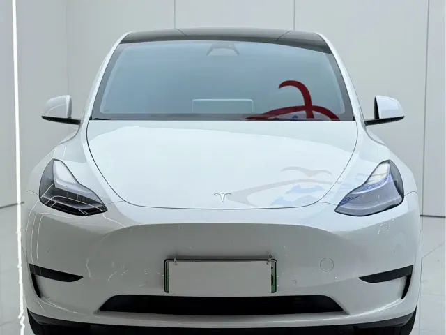 Tesla Model Y — Фото автомобиля 3