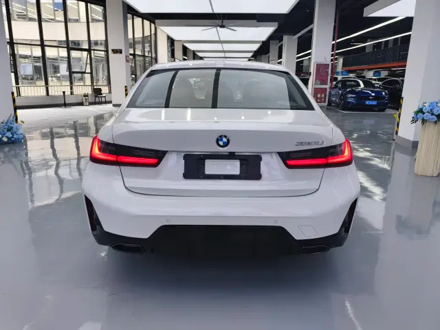 BMW 3 Series — Фото автомобиля 10