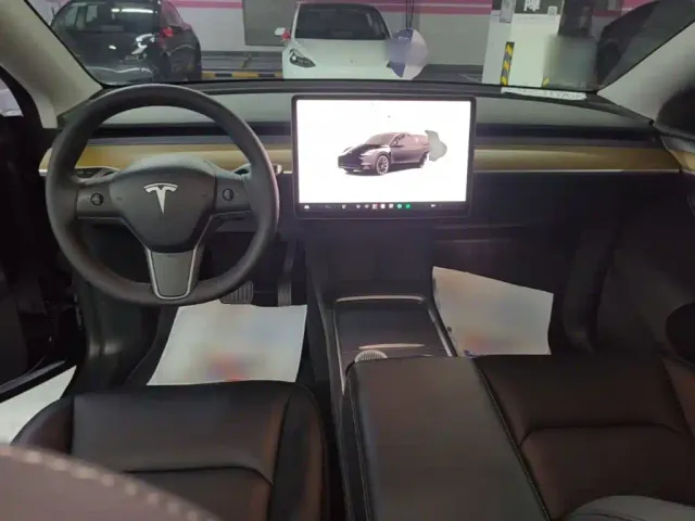 Tesla Model Y — Фото автомобиля 9