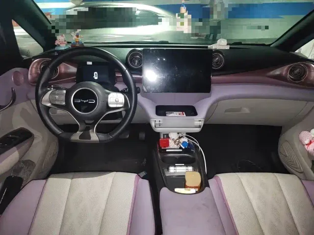 BYD Dolphin — Фото автомобиля 5
