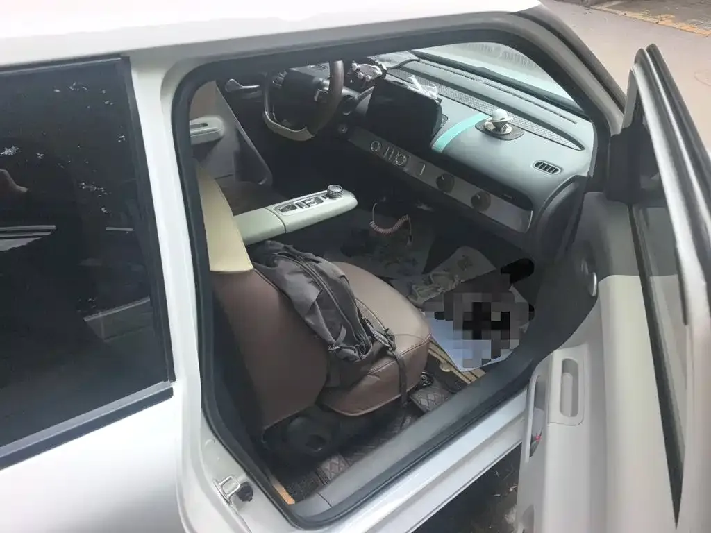 Changan Qiyuan Changan Lumin 2025 205km Fragrant Infusion Edition — Фото автомобиля 19