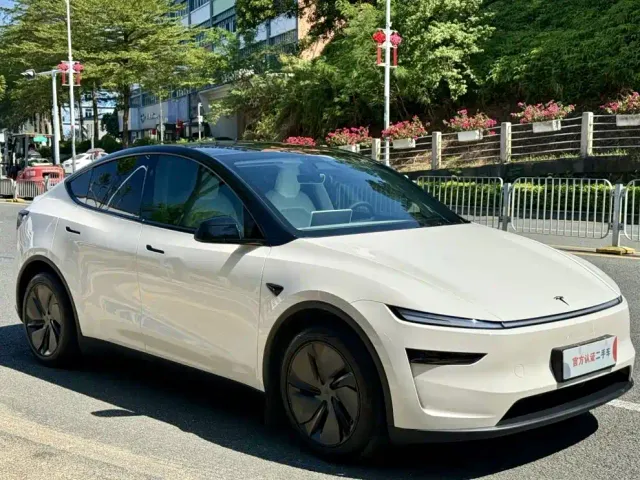 Tesla Model Y — Фото автомобиля 3