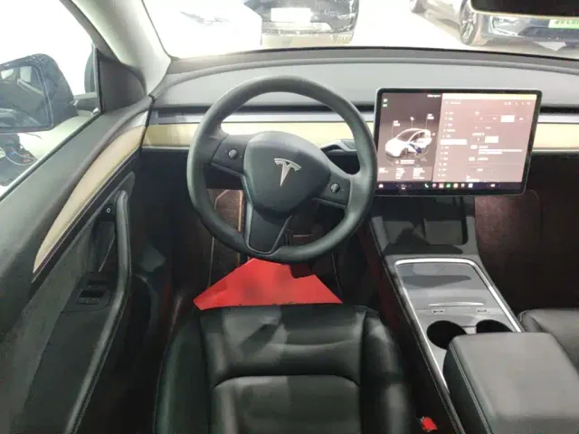 Tesla Model Y — Фото автомобиля 10