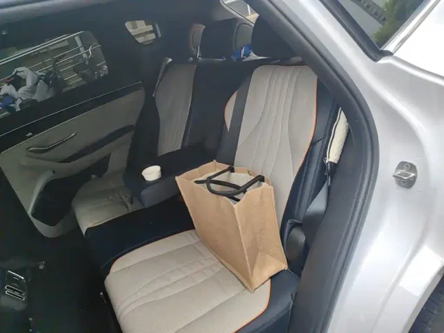 BYD Song PLUS — Фото автомобиля 13