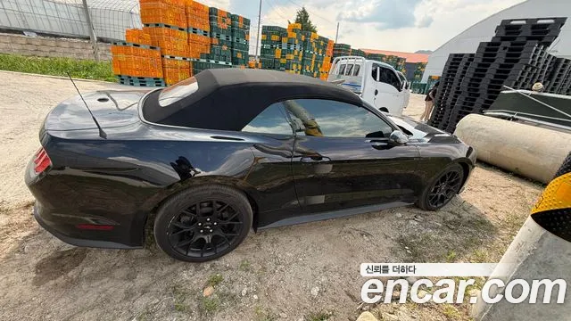 Ford Mustang — Фото автомобиля 2