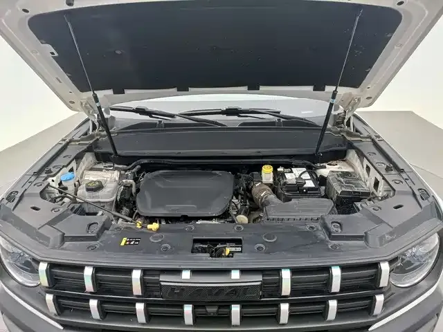 Haval Cool Dog — Фото автомобиля 15