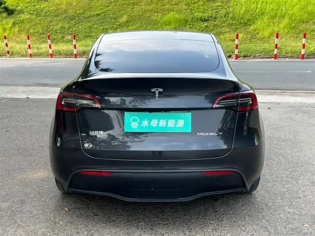 Tesla Model Y — Фото автомобиля 7