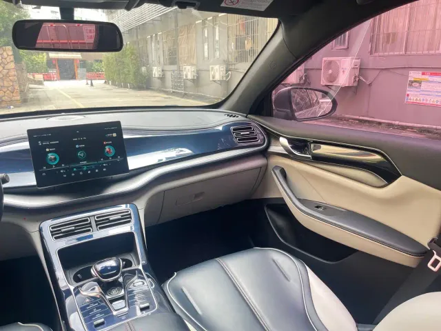 BYD Qin PLUS 2021 EV 500KM Luxury Model — Фото автомобиля 22