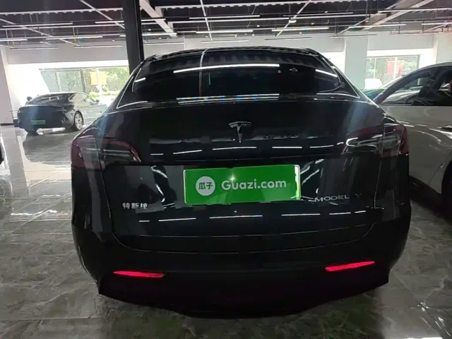 Tesla Model Y — Фото автомобиля 5