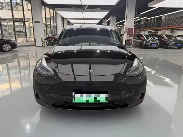 Tesla Model Y — Фото автомобиля 2