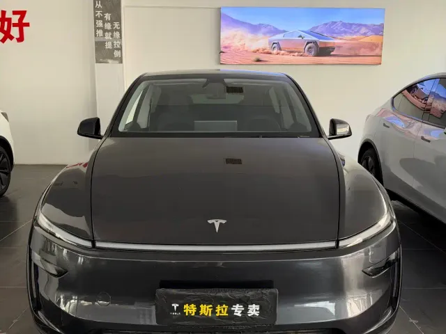 Tesla Model Y — Фото автомобиля 2